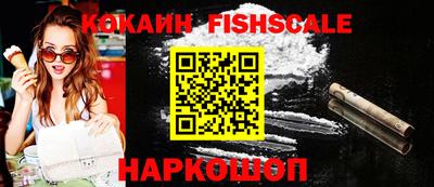 тгк Кингисепп