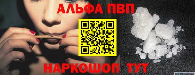 тгк Кингисепп