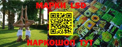 дмт Кимры