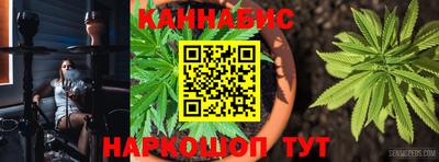 тгк Кингисепп