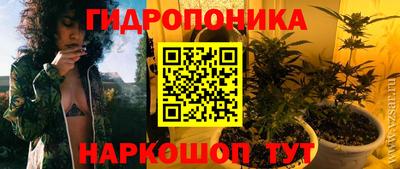тгк Кингисепп