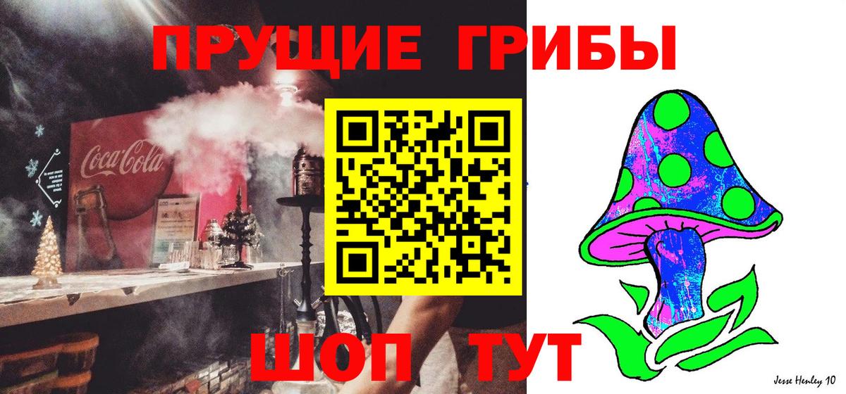 Псилоцибиновые грибы мицелий Ухта